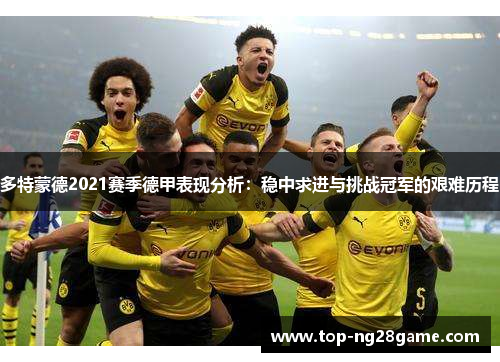 多特蒙德2021赛季德甲表现分析：稳中求进与挑战冠军的艰难历程