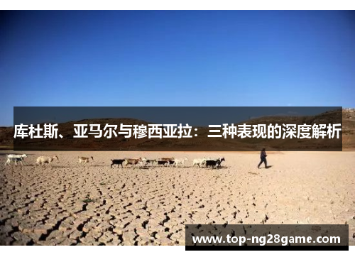 库杜斯、亚马尔与穆西亚拉：三种表现的深度解析