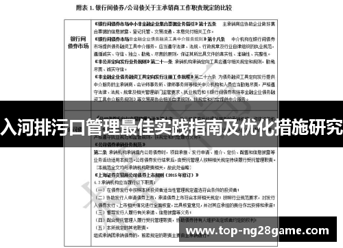 入河排污口管理最佳实践指南及优化措施研究