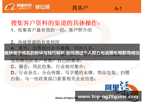 佩特曼宁成名的秘诀与技巧解析 如何通过个人努力与战略布局取得成功