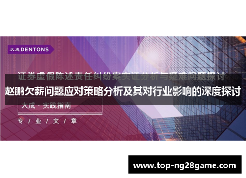 赵鹏欠薪问题应对策略分析及其对行业影响的深度探讨