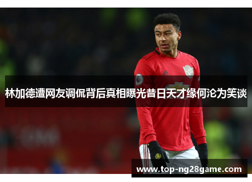 林加德遭网友调侃背后真相曝光昔日天才缘何沦为笑谈