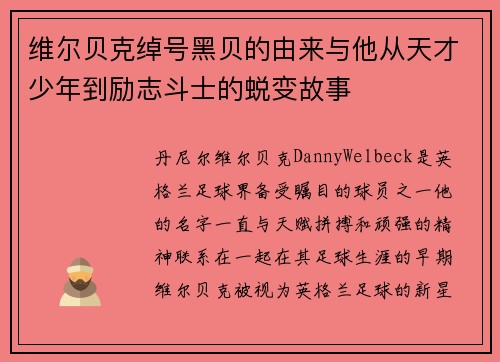 维尔贝克绰号黑贝的由来与他从天才少年到励志斗士的蜕变故事