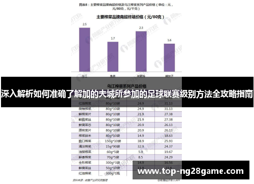 深入解析如何准确了解加的夫城所参加的足球联赛级别方法全攻略指南 深入解析如何准确了解加的夫城所参加的足球联赛级别方法全攻略指南