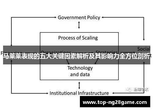 马莱莱表现的五大关键因素解析及其影响力全方位剖析