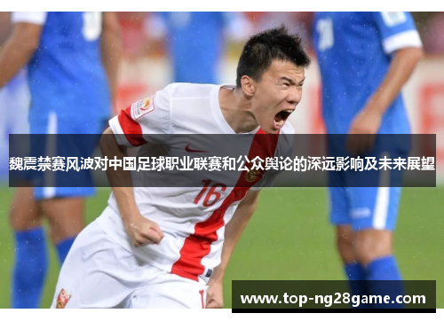 魏震禁赛风波对中国足球职业联赛和公众舆论的深远影响及未来展望